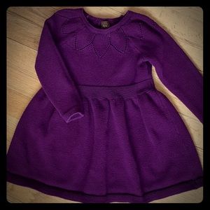 Knit sweater dress in plum by Tea Collection 2T